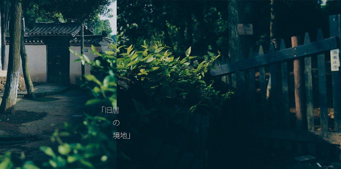 战争黎明3
